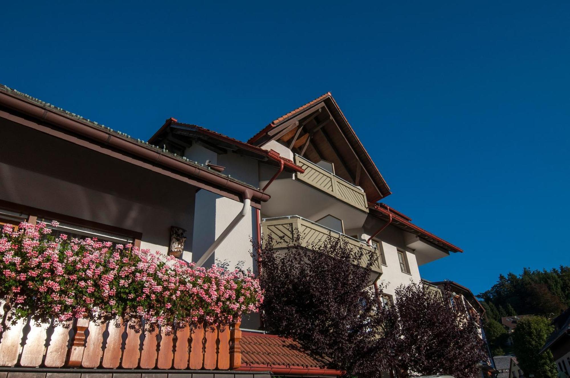 Apartment 06 - Ferienresidenz Roseneck, 2 Schlafzimmer, Mit Schwimmbad In Todtnauberg Bei Feldberg מראה חיצוני תמונה