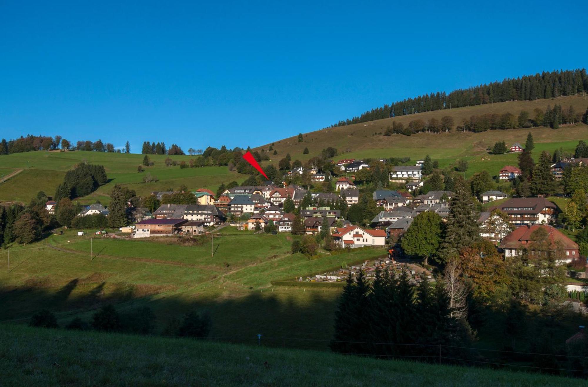 Apartment 06 - Ferienresidenz Roseneck, 2 Schlafzimmer, Mit Schwimmbad In Todtnauberg Bei Feldberg מראה חיצוני תמונה